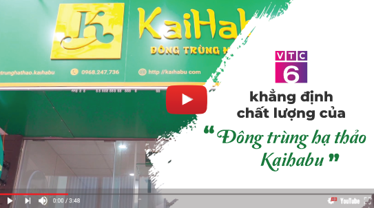 VTC6 khẳng định chất lượng của đông trùng hạ thảo Kaihabu