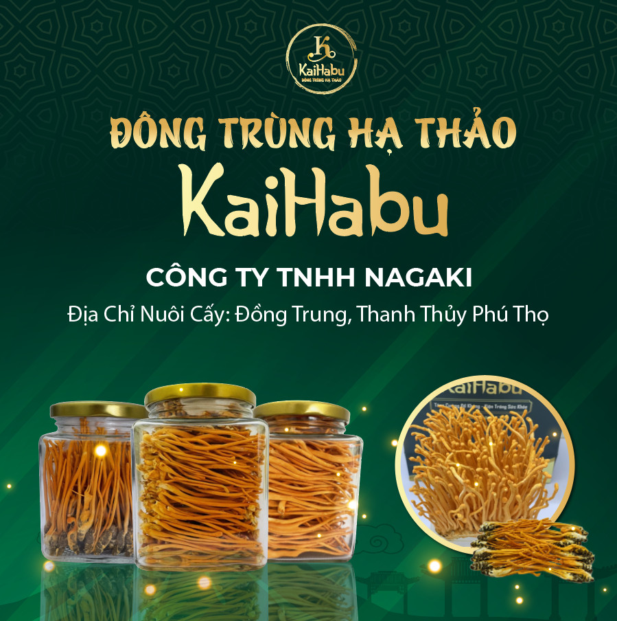 Kaihabu đầu tư Khu nuôi cấy đông trùng hạ thảo tiêu chuẩn chất lượng cao